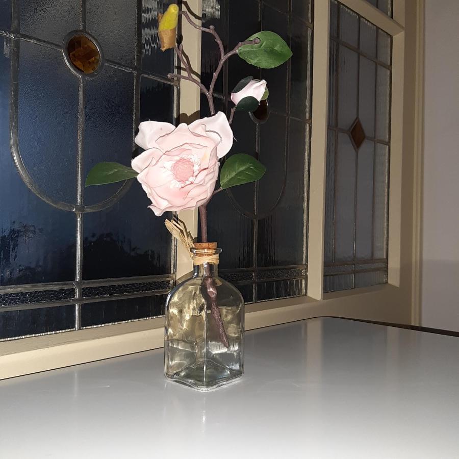 Apartman U Javoru ヴァルンスドルフ エクステリア 写真