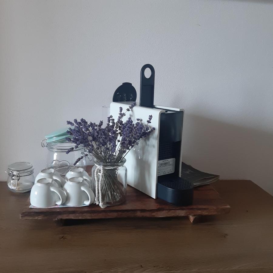 Apartman U Javoru ヴァルンスドルフ エクステリア 写真