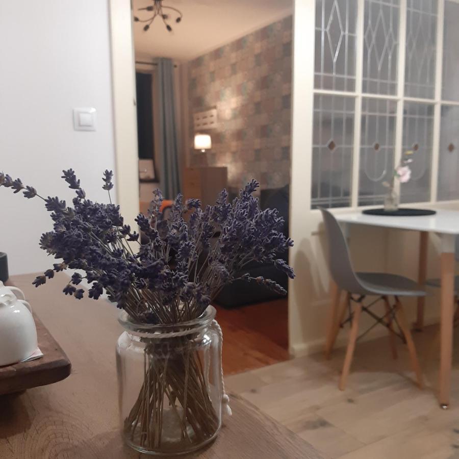 Apartman U Javoru ヴァルンスドルフ エクステリア 写真